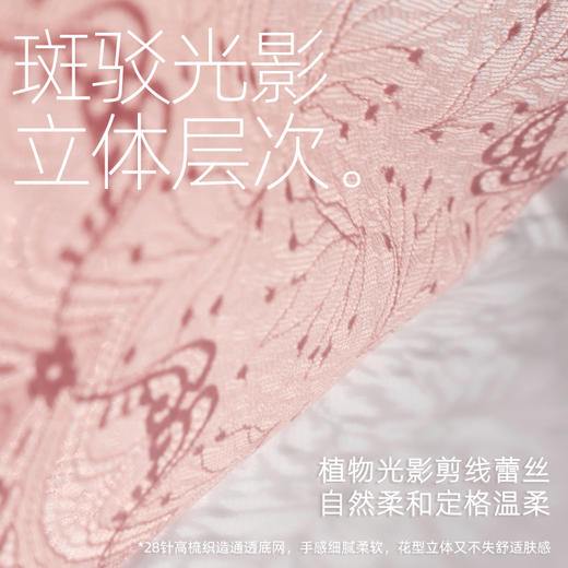 3条98元好奇蜜斯比基尼低腰性感亲肤纯棉抗菌裆女士蕾丝三角内裤 赫雅 商品图1