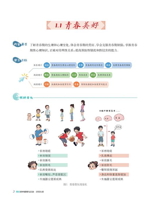 图说初中道德与法治新课程标准 商品图3