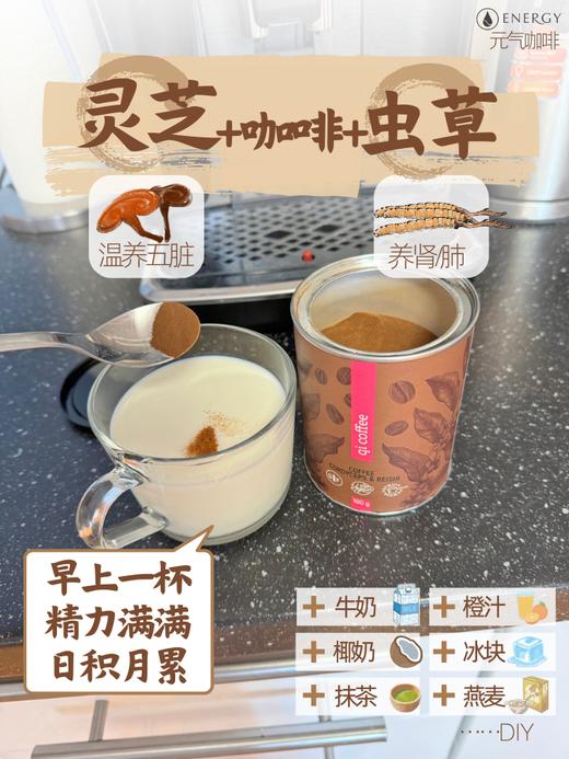 捷克安能聚QI气咖啡粉含虫草灵芝 补充能量/有益心血管/提神补气 不易心慌100g 日期26年11月 商品图3