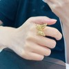 【限时克减150元】足金 #招财进宝  #九紫离火 5D硬金空心固口蝴蝶戒指鎏金时尚女戒招财鎏金蝶几何蝴蝶戒指(AR5DJZ00043)预售产品下单后不退款不退货不换货不补差价 商品缩略图4