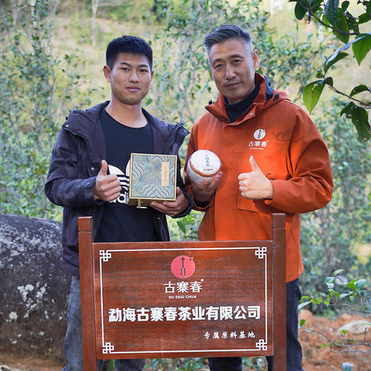 10月4日中午12点【龙团贡茶那罕龙珠】2023年古树春茶龙珠甄选46号茶农核心产区品质普洱茶生茶小龙珠70克/罐 商品图1