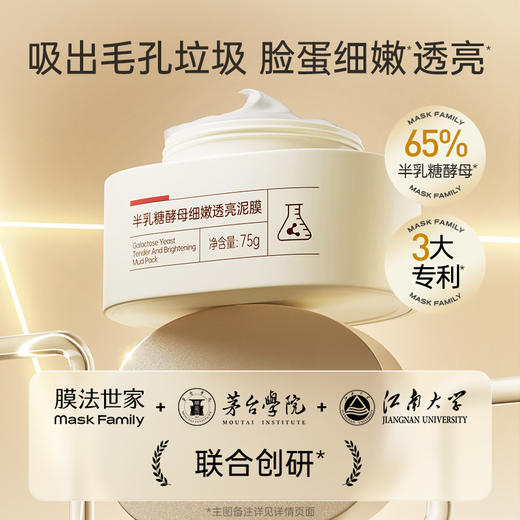 【100膜币+29.9元】膜法世家半乳糖酵母细嫩透亮泥膜75g 商品图1