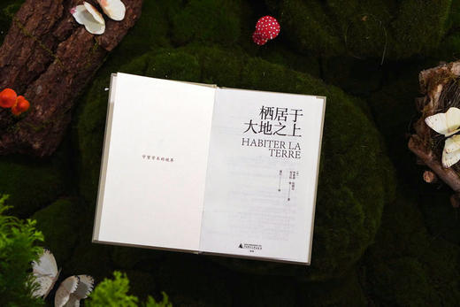 大学问 · 栖居于大地之上 （法）布鲁诺·拉图尔、（法）尼古拉·张  /著 商品图6