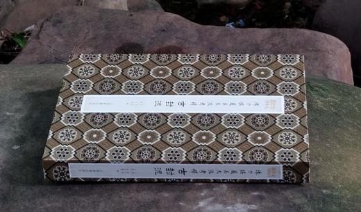 《陈介祺藏吴大徵考释古封泥》，8开，[清]陈介祺、吴大徵辑，上海书画出版社2022年5月一版一印，定价650元。普通版：488元，签名典藏版：650元。分别各两册。 商品图13