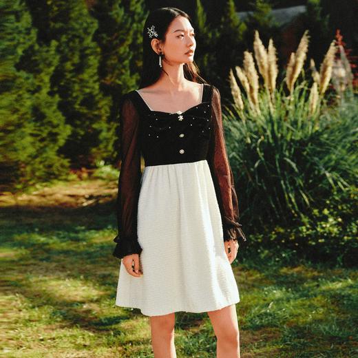 【波动心弦】MAXRIENY甜美复古感丝绒裙秋季拼接花纱连衣裙(货号:MS88DR031) 商品图1