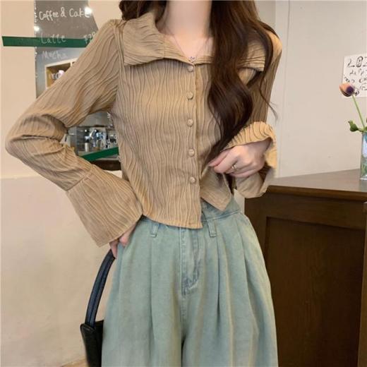 【波浪纹长袖衬衫】秋季新款 休闲时尚百搭长袖短款别致小衫上衣潮  商品图0