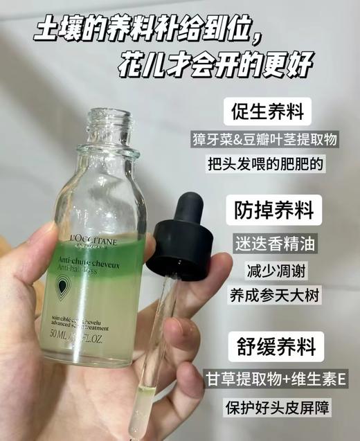 L'OCCITAE欧舒丹焕活强韧头皮精华 商品图2