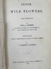 1860年 英国野花图鉴 80页套色版画插图 漆布精装18开 商品缩略图3