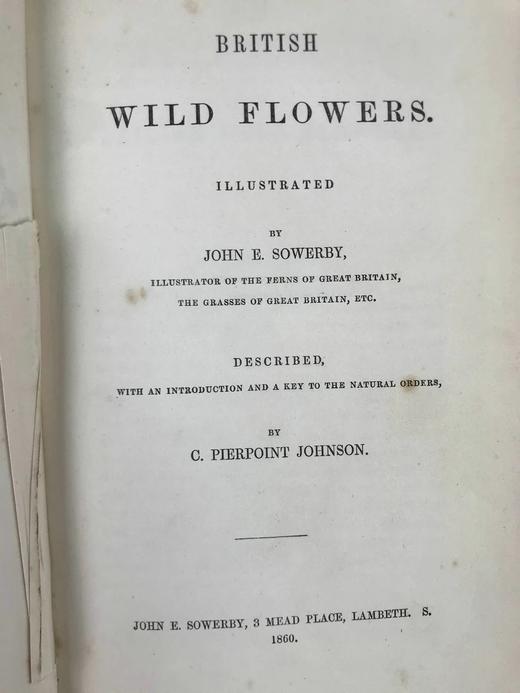 1860年 英国野花图鉴 80页套色版画插图 漆布精装18开 商品图3