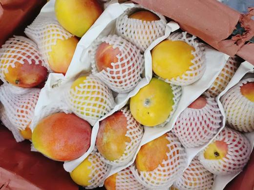 苹果芒3斤 商品图1