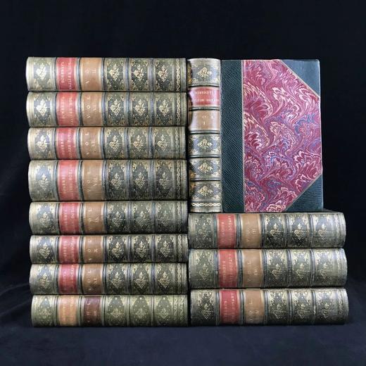 1863-1886年 英国植物志（全12卷）2560幅手工上色版画插图 真皮精装16开 商品图0