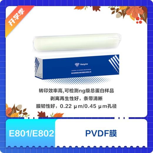 PVDF Membrane 商品图0