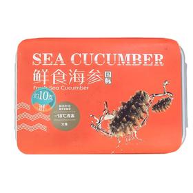 大连即食海参6-10条装约500G