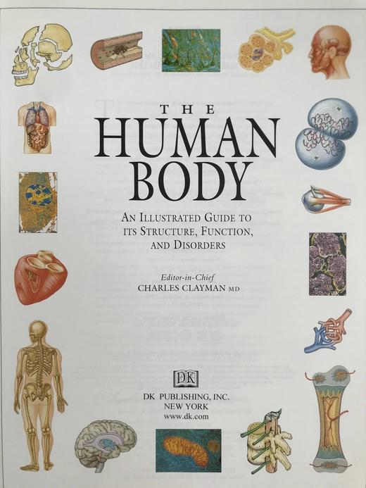 人体解剖图解指南 数百幅彩色插图 精装大16开 商品图2