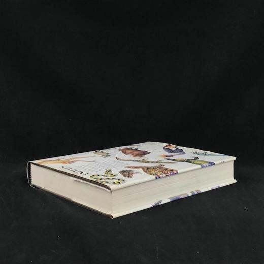 动物百科全书 千余幅彩色插图 精装大16开 商品图2