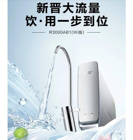 史密斯/净水/R3000AB1 商品图0