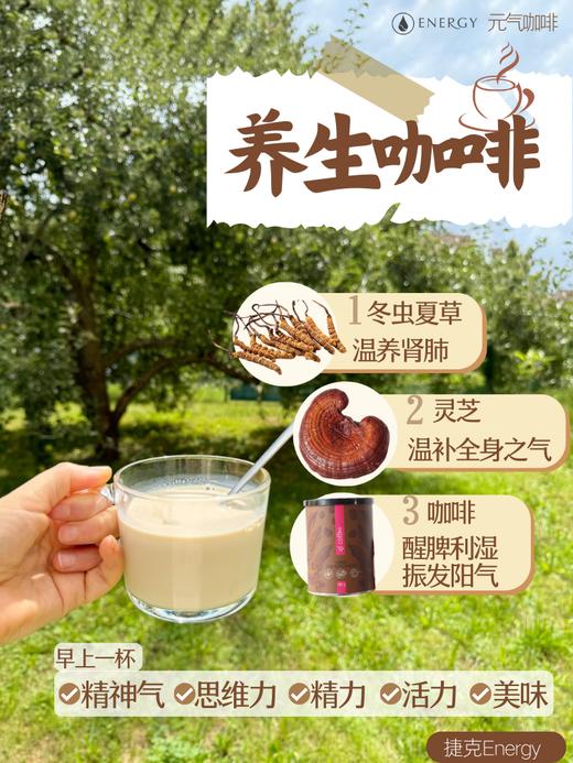 捷克安能聚QI气咖啡粉含虫草灵芝 补充能量/有益心血管/提神补气 不易心慌100g 日期26年11月 商品图6