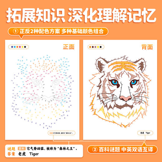 【斗半匠】左右脑专注力训练发展想象力理解记忆主题丰富 商品图2