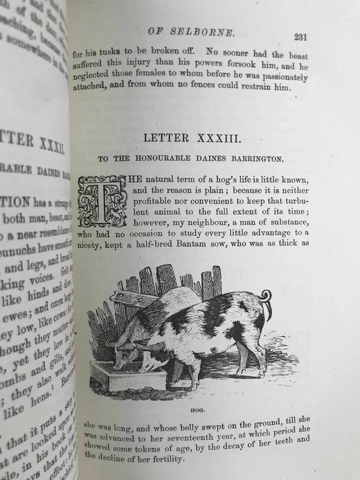工坊特装本！约19世纪后期 怀特《塞耳彭自然史》 比威克等名家数十幅版画插图 全真皮精装大32开 商品图6