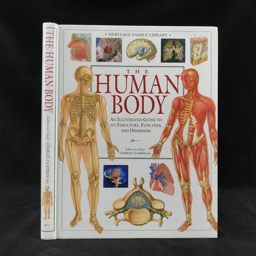 人体解剖图解指南 数百幅彩色插图 精装大16开 商品图0
