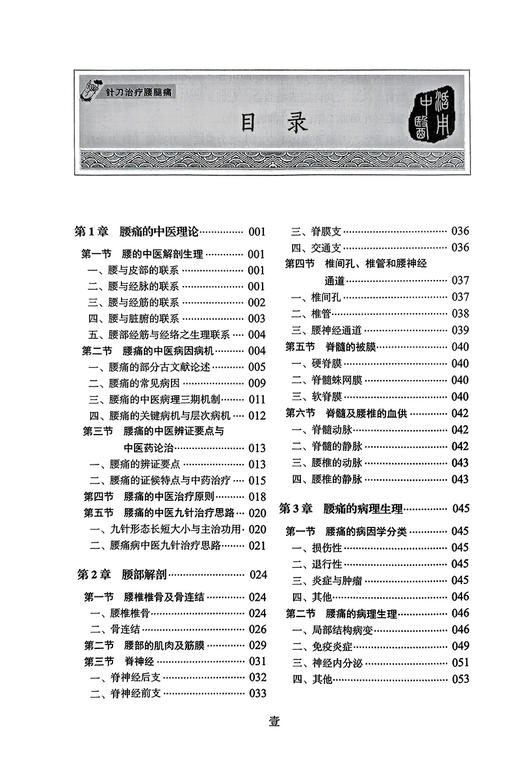 针刀治疗腰腿痛 陈永亮等编 疾病中医理论解剖病理生理诊断措施预防治疗技法 临床医案诊治实操 中国科学技术出版社9787523607619 商品图3