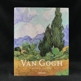 梵高画集 数百幅插图 精装大16开