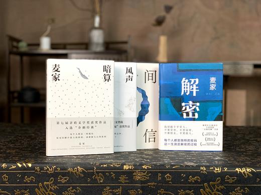 《麦家四部曲》典藏精装版全4册 | 麦家经典作品一次收录，茅盾文学奖巅峰之作，本本高分、震撼心灵 商品图11