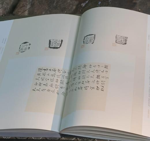 《陈介祺藏吴大徵考释古封泥》，8开，[清]陈介祺、吴大徵辑，上海书画出版社2022年5月一版一印，定价650元。普通版：488元，签名典藏版：650元。分别各两册。 商品图6