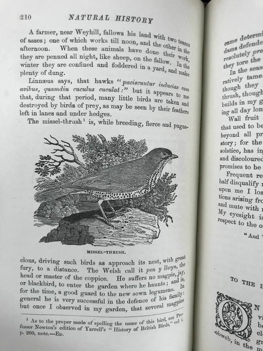 工坊特装本！约19世纪后期 怀特《塞耳彭自然史》 比威克等名家数十幅版画插图 全真皮精装大32开 商品图7