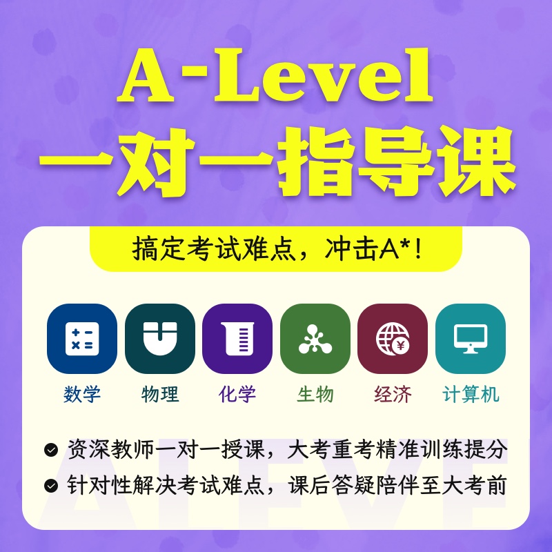 A-Level一对一系列课程