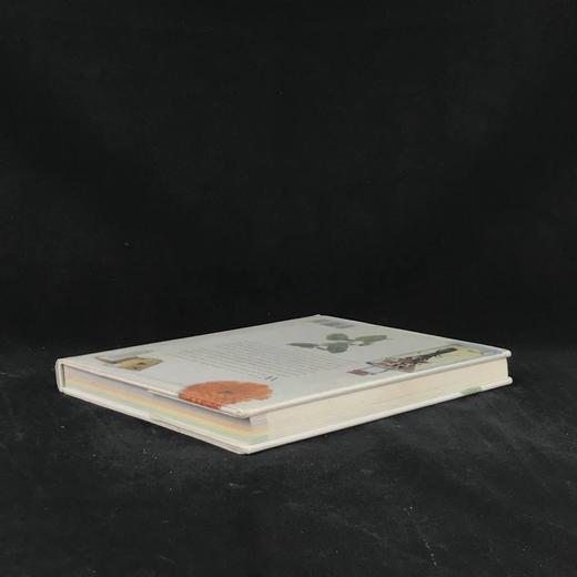 草药之书（辞典，种植，烹饪，功效） 数千幅彩色插图 精装16开 商品图2