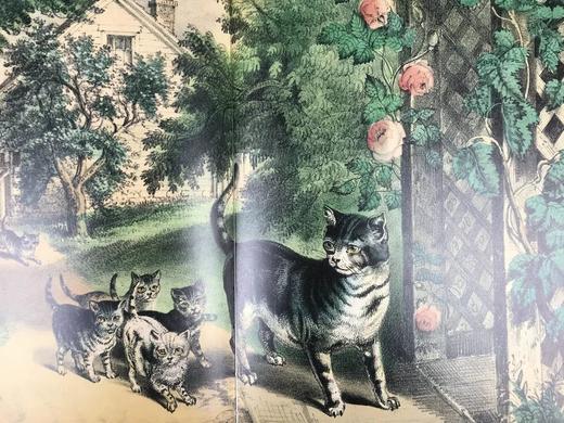 大都会博物馆藏品中的猫 百余幅精美插图 精装大16开 商品图11