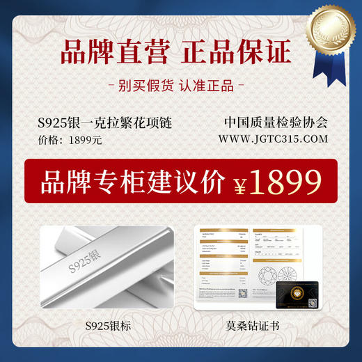 Winy925纯银一克拉繁花项链送女友闺蜜节日生日礼物 商品图6