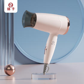 【自营】扬子 1260电吹风吹风机