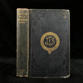 1860年 英国野花图鉴 80页套色版画插图 漆布精装18开