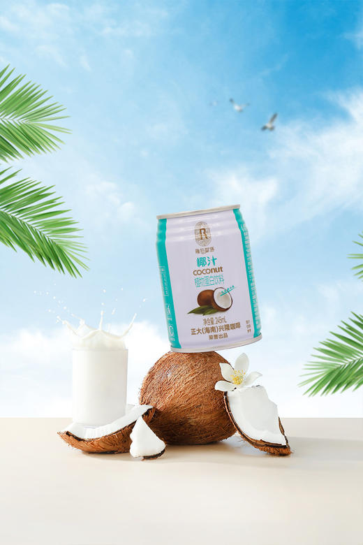隆伯斯塔椰汁245ml/瓶*12 商品图0