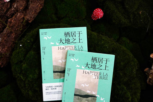 大学问 · 栖居于大地之上 （法）布鲁诺·拉图尔、（法）尼古拉·张  /著 商品图5