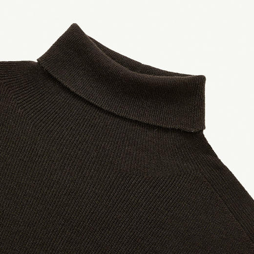 85.7%绵羊毛高领长袖毛衣女秋季轻薄保暖内搭上衣SS140281 商品图5