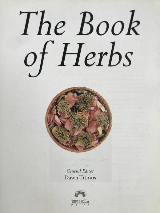 草药之书（辞典，种植，烹饪，功效） 数千幅彩色插图 精装16开 商品图3