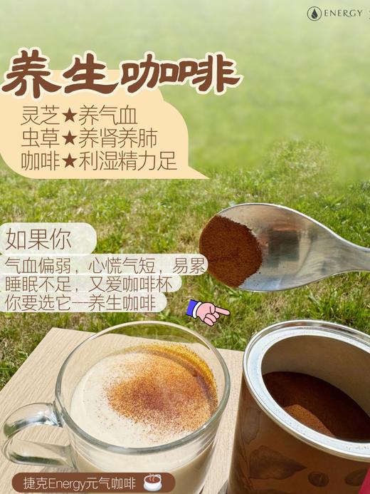 捷克安能聚QI气咖啡粉含虫草灵芝 补充能量/有益心血管/提神补气 不易心慌100g 日期26年11月 商品图2