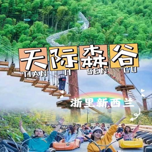 【2026五一亲子】湖州二日|文房四宝之首——湖笔体验 | 天际森谷野乐园 | 太湖古镇烟花秀 |《醉美太湖》休闲二日游（入住太湖古镇边5钻瑞峰酒店1.35米*2双标间） 商品图1