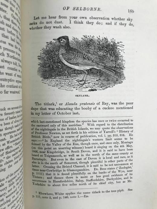 工坊特装本！约19世纪后期 怀特《塞耳彭自然史》 比威克等名家数十幅版画插图 全真皮精装大32开 商品图8