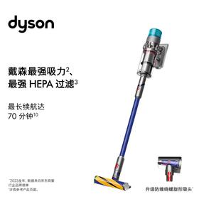 戴森  吸尘器G5 Detect Fluffy