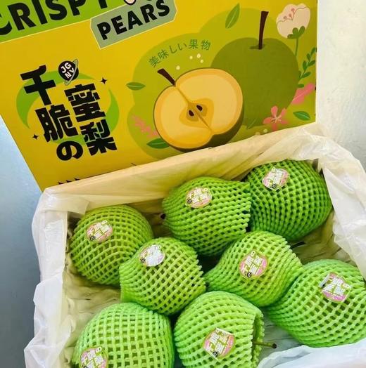 四川千脆蜜梨 | 水果 （约5斤装礼盒） 单份约450g（2只） 商品图3