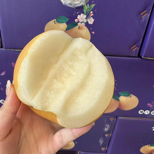 Sc秋月梨 商品图2