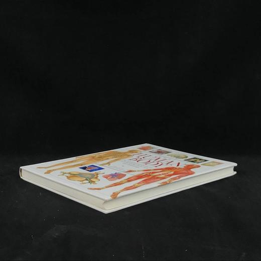 人体解剖图解指南 数百幅彩色插图 精装大16开 商品图1