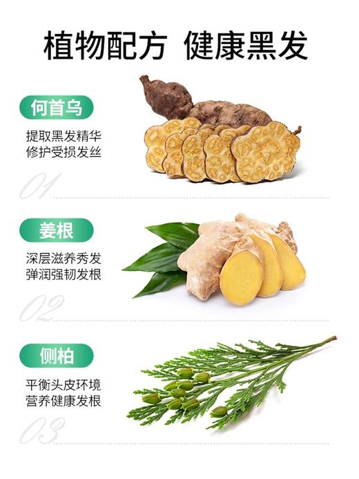 纯春堂 一洗就黑 不沾头皮 不沾手 汉斯 一洗黑植物染发剂 商品图7