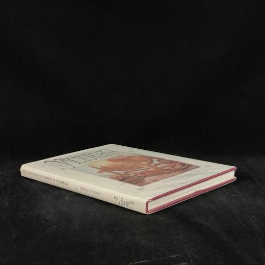 维多利亚时代物件百科全书 约200幅彩色插图 精装16开 商品图1