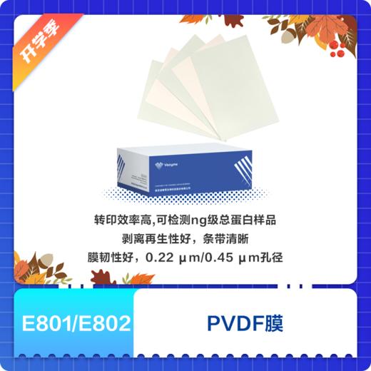 PVDF Membrane 商品图1