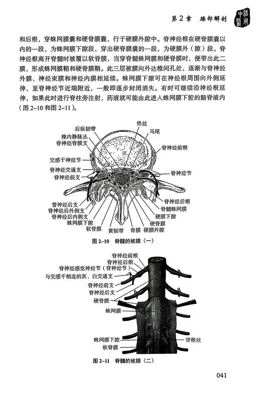 针刀治疗腰腿痛 陈永亮等编 疾病中医理论解剖病理生理诊断措施预防治疗技法 临床医案诊治实操 中国科学技术出版社9787523607619 商品图4